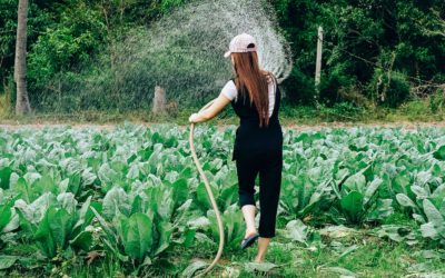 Les innovations technologiques pour une utilisation plus efficace de l’eau